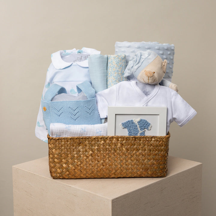 Blueberry baby gift hamper