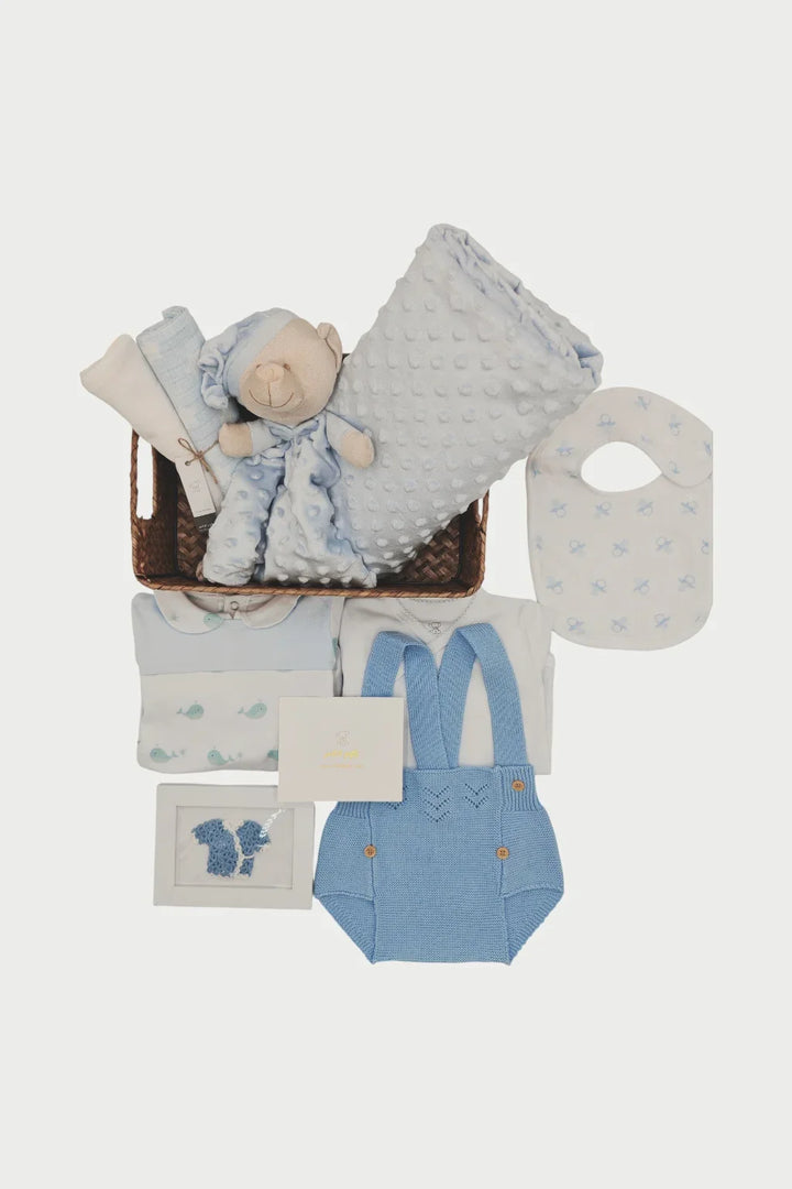 Blueberry baby gift hamper
