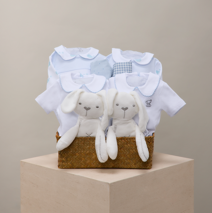 twins blue moon baby gift basket