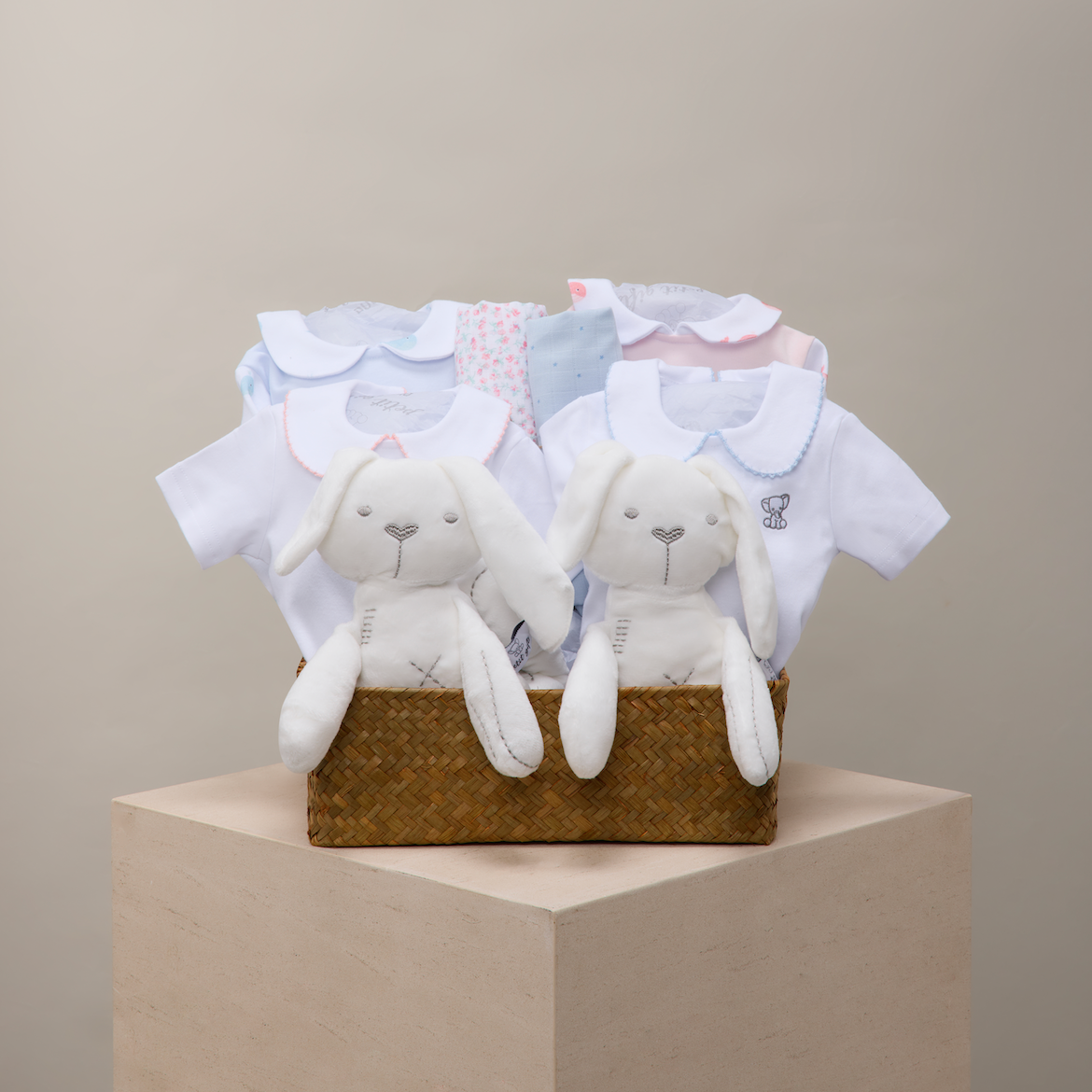 Twins blue and pink moon