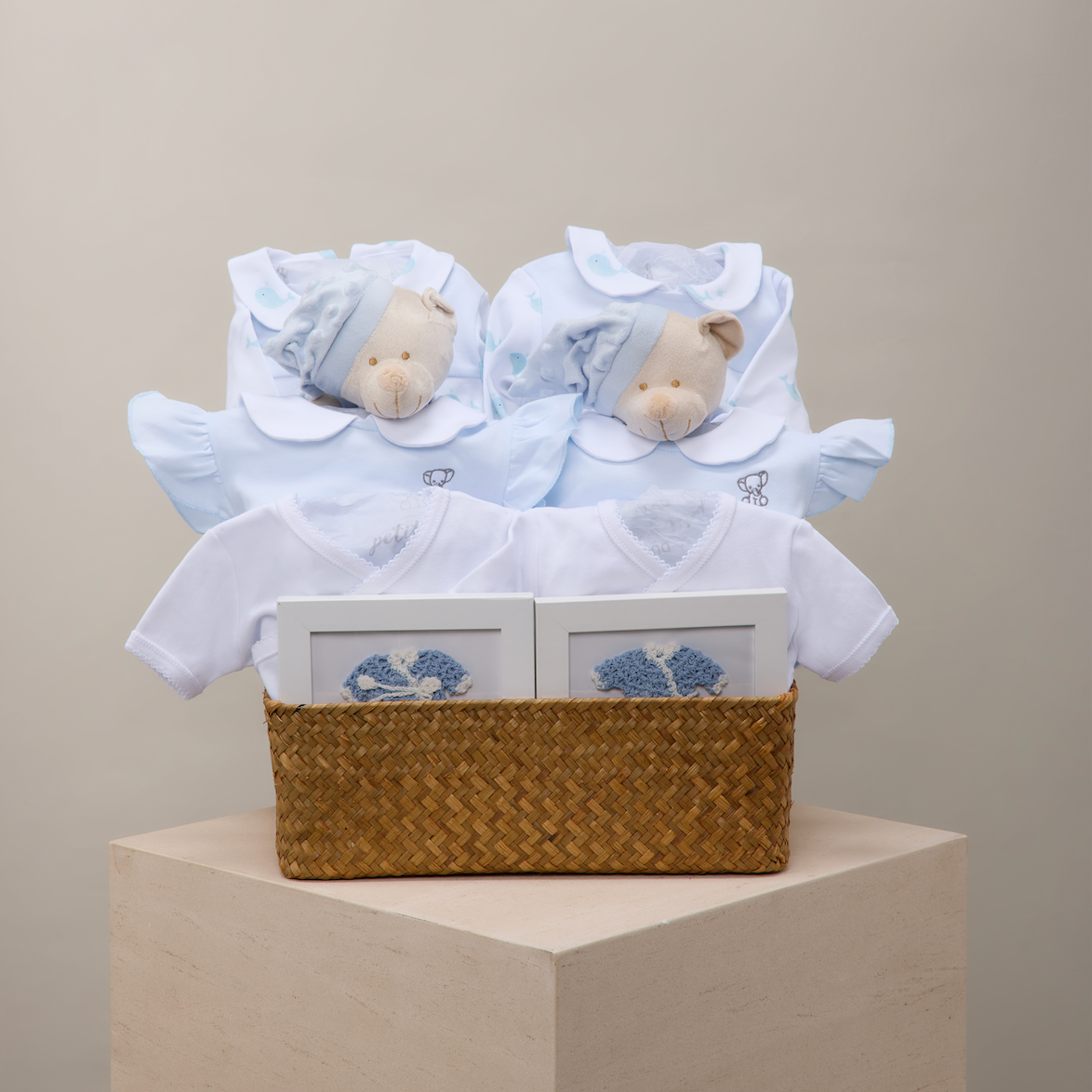 Twins Blue  Butterfly