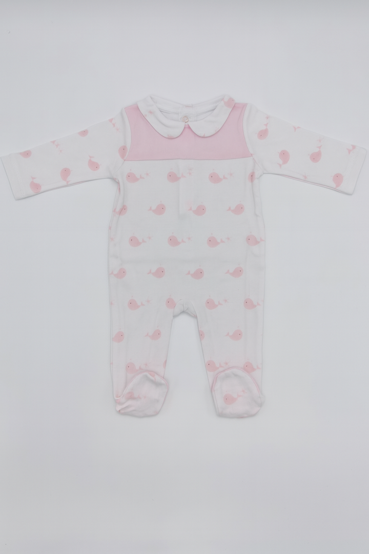 Twins Blue and Pink Butterfly baby gift basket