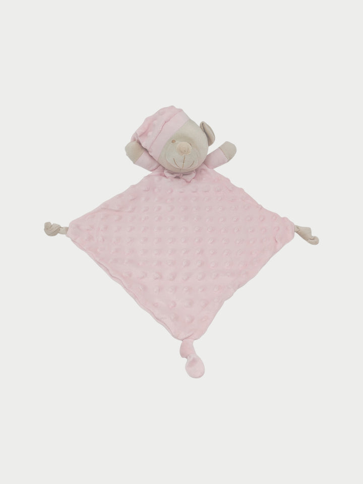 Twins Blue and Pink Butterfly baby gift basket