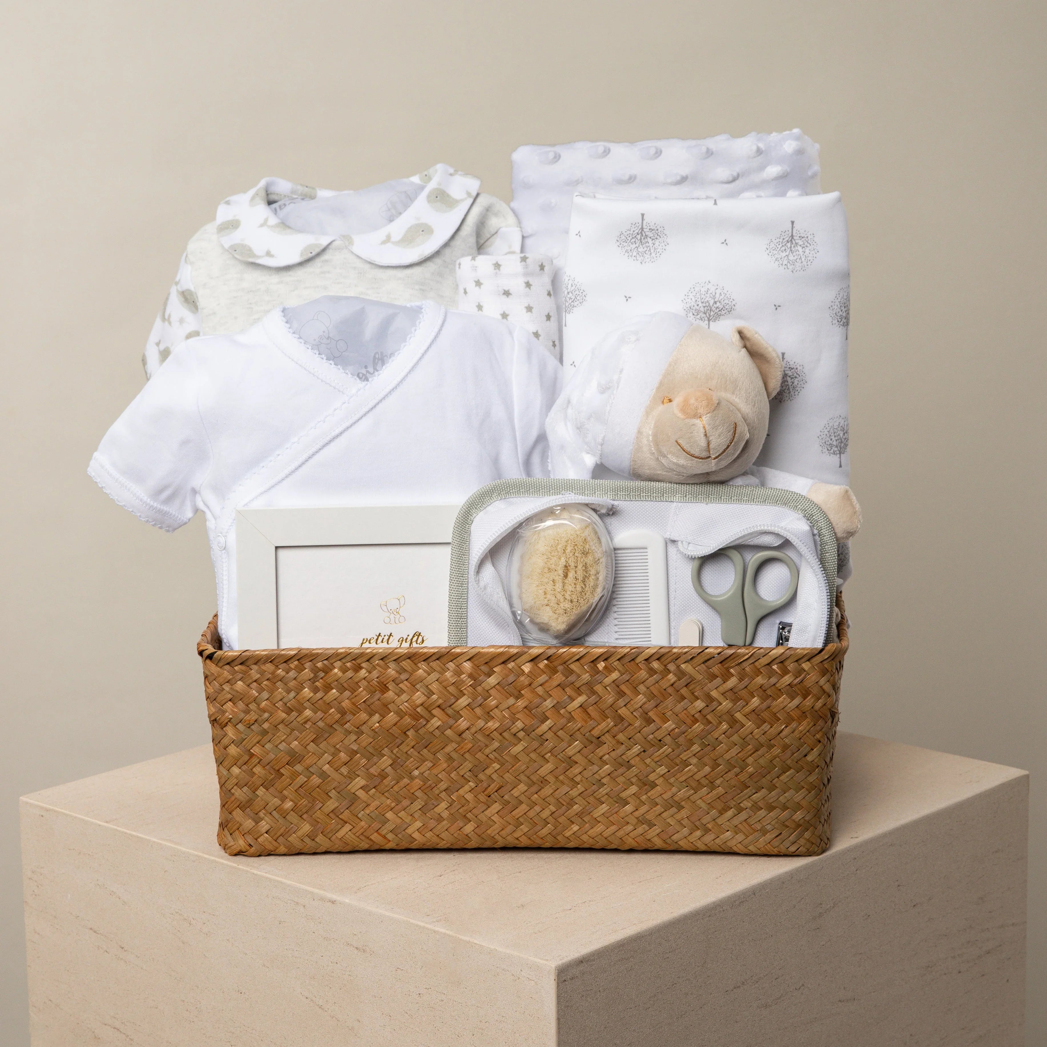 Travel day Neutral Baby Gift