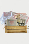 Baby Gift for baby shower, same day delivery