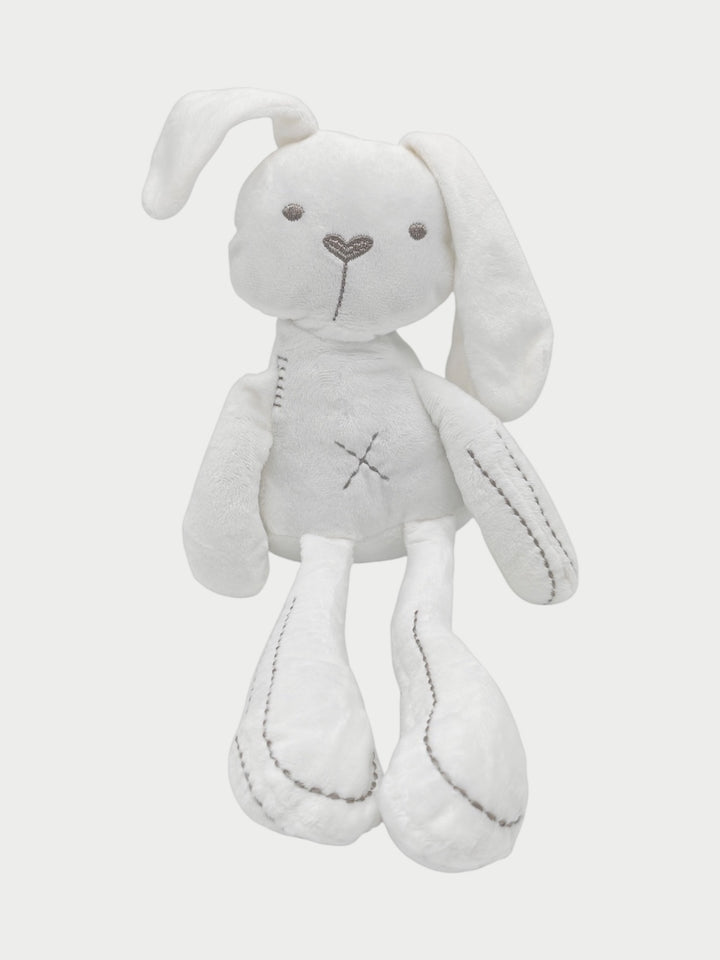 twins blue moon baby gift basket